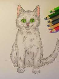 That is why we present you with this guide on how to draw a sitting cat. How To Draw A Cat Front View Sitting Front View And Side View