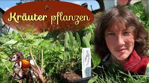 Wer einen garten hat, sollte nicht auf frische kräuter verzichten. Krauter Pflanzen Im Garten Unboxing Ruhlemanns Krauter Youtube