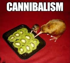 Kiwi Eating Kiwi Funny Pictures Tastefully Offensive Funny Cute