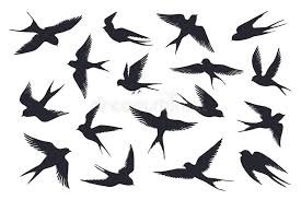 Download birds in flight silhouette and use any clip art,coloring,png graphics in your website, document or presentation. Flying Birds Silhouette Flock Of Swallows Sea Gull Or Marine Birds Isolated On White Background Vector Set Of Stock Vector Illustration Of Abstract Paint 159151489