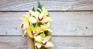 Maybe you would like to learn more about one of these? Flower Care Guide Orchid Bouquets Bouqs Blog