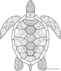 There is a differentiation in our turtle mandalas. Turtle Mandalas Printable Turtle Mandala Coloring Pages For Free