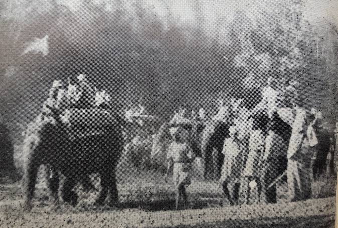 KHEDDA — CAPTURING WILD ELEPHANTS IN MYSORE | by N S Vinodh | Medium