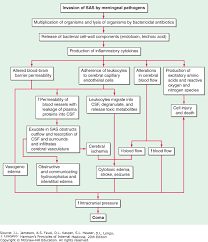 acute meningitis harrisons principles of internal