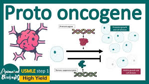 Image result for Oncogene