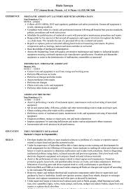May include training and assessing of other technicians and apprentices. Mechanic Assistant Resume Samples Velvet Jobs