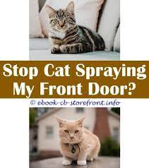 19 Staggering Cat Spraying Remover Products Cat Spray Male Cat Spraying Cats