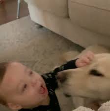 Our sweetest Aspen went to heaven today. , She was truly the best dog..  loyal, kind, patient, loved to snuggle and give lots of kisses! She was  everything you could want in a dog. She was my shadow, ...