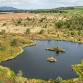Learning Day: Peatland Restoration - The Glencorse Centre, 4 Firth Rd, Auchendinny Event Image