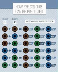 neat chart giving the probability of your kids eye colors