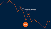 How to Spot a 'Dead Cat Bounce' (+ Strategies to Trade It ...