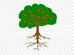 Dawn / march 3, 2013. Fruit Tree And Roots Without Line Clip Art At Clker Tree Drawing With Fruits Hd Png Download Vhv