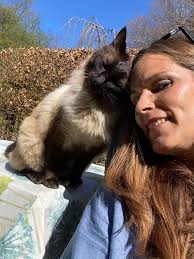 Introduction of a new ragdoll cat named Mr Fluffy