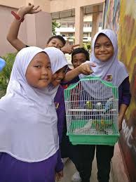 Sebelum ini, pelajar disini bersekolah di sekolah menengah kebangsaan engku husain. Tambah Lg Bilangan Burung Yg Ppki Sk Bandar Rinching Facebook