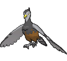 What is a good moveset for Unfezant? - PokéBase Pokémon Answers