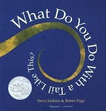 What Do You Do With A Tail Like This By Steve Jenkins And Robin Page Indiebound Mentor Texts Steve Jenkins Science