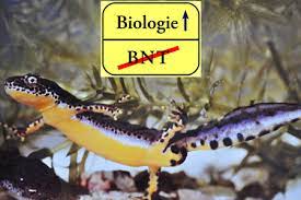 Bilder finden, die zum begriff bunten hintergrund passen. Fur Einen Eigenstandigen Biologieunterricht An Gymnasien In Bawu Ab Klasse 5 Kein Schulfach Bnt Online Petition