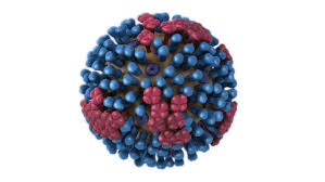Image result for Influenza