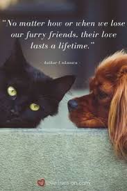 Click for more sympathy quotes for the loss of a pet to include in a sympathy card or to honour a pet on a gravemarker or urn. 130 Pet Quotes Ideas In 2021 Dog Quotes Bird Quotes Animal Quotes