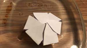 Check out our faqs for using mystery science at home. Mother S Day Gift Mystery Science Flower Power How To Youtube