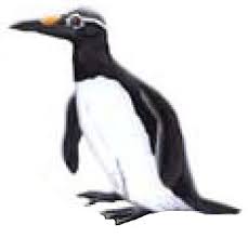 Image result for Manniella