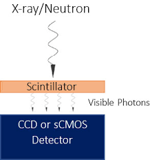 A scintillation material emits light when it gets excited (such as from energy deposited by a particle). What Is Indirect X Ray And Neutron Detection And How Does It Work Andor Learning Centre Oxford Instruments