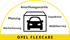 Man åbnede i den forbindelse som en del af forbedringerne efter overtagelsen et forsikringsselskab og året efter i 1930 et finansieringsselskab til at finansiere nye opel til kunderne. Leasen Finanzieren Versichern Opel Bank