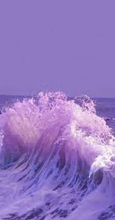 Use a smartphone or gps device to navigate to the provided coordinates. Periwinkle