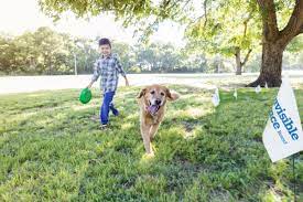 We've lived in eden prairie, minnesota and can't imagine living anywhere else. Invisible Fence Twin Cities Pasteurinstituteindia Com