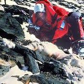 Andrew michael andy harris was a mountaineer from new zealand who went missing during the 1996 avalanche on mount everest. Image Result For Mt Everest Andy Harris Body Mount Everest Deaths Everest Everest Mountain