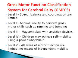 Cerebral Palsy One Size Does Not Fit All Ppt Download