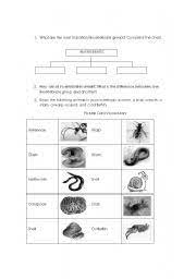 Invertebrates ecology cells copy of 8.31 dichotomous key/binomial nomenclature copy of unit 4: Invertebrates Worksheets