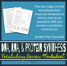 The process by which reverse transcriptase synthesizes dna strands complementary to an rna template. Enzyme Vocabulary Worksheets Teaching Resources Tpt