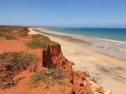 Check spelling or type a new query. James Price Point Lng Terminal Win Environmental Defenders Office