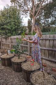 Willis orchard company now offers the following dwarf fruit trees for sale for our customers with limited growing space, or for those that would like to grow fruit trees in containers, or their patio. How To Grow Fruit Trees In Containers Connie And Luna