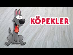 Kopek Sesi Kopek Havlamasi Cocuklar Icin Youtube