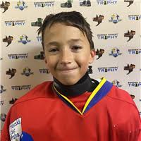 Sweden Hockey Trophy