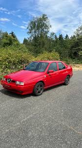 Image result for Marrone Castlerock 2008 Alfa-Romeo