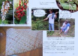 八郷の日々 手わざ帖