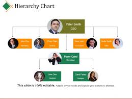 Hierarchy Chart Ppt Powerpoint Presentation Infographic