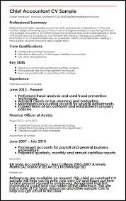 chief accountant resume - Kleo.beachfix.co