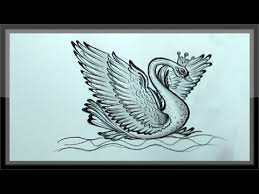 Learn how to draw simple pencil pictures using these outlines or print just for coloring. Pencil Drawing A Beautiful King Swan Easy Step By Step Ø¯ÛŒØ¯Ø¦Ùˆ Dideo