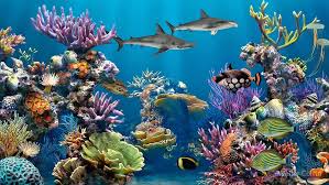 May 27, 2021 · math fact color by number: Colorful Coral Reef Painting By Walter Colvin Redbubble