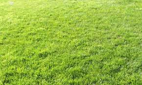 30 Free High Resolution Grass Textures Naldz Graphics Grass Textures Grass Background Green Grass Background
