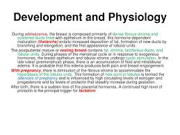 Ppt Development And Physiology Powerpoint Presentation Free Download Id 540206