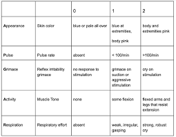 Image result for APGAR Score