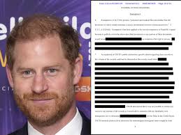Did Prince Harry's redacted visa papers hide more than just his drug use?  Wild conspiracy theories emerge