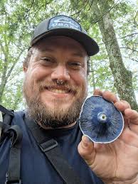 Another new species for me, Phallus hadriani the lilac egg stage the  giveaway, also preferring sandier soils than P. impudicus. Close to home  and a lot of them coming in a group