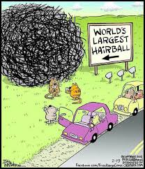 Comic Book Cats, number 188: Free Range by Bill Whitehead