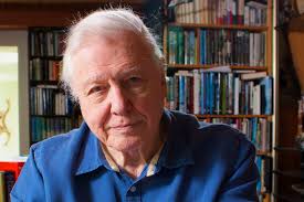 BBC to air early David Attenborough documentaries in colour